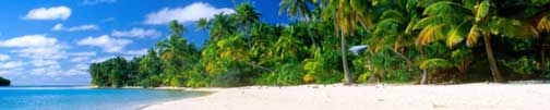 Tropical Beach